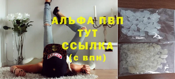 молекула духа Вязьма