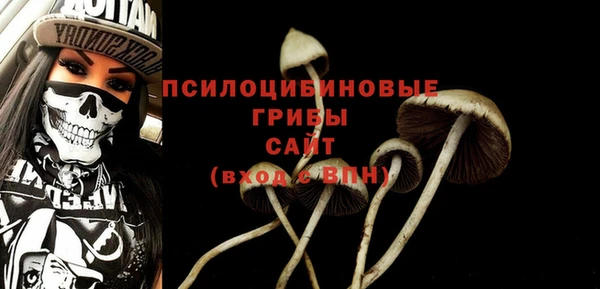 прущая мука Вязники