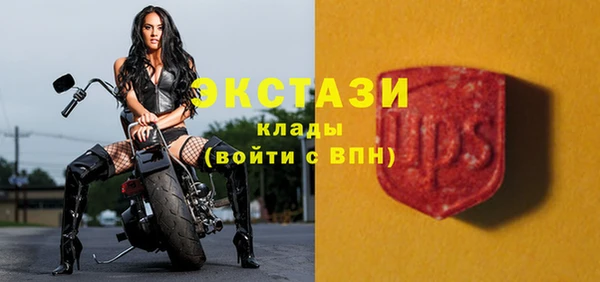 гидра Вяземский