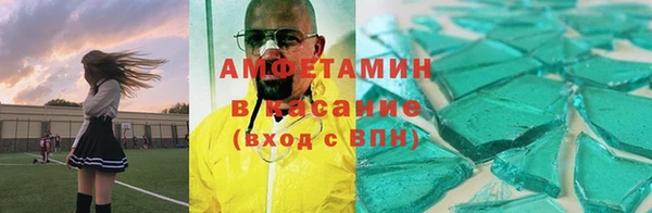 гидра Вяземский