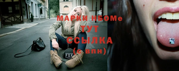 гидра Вяземский
