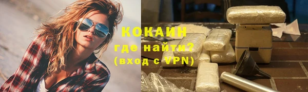 гидра Вяземский
