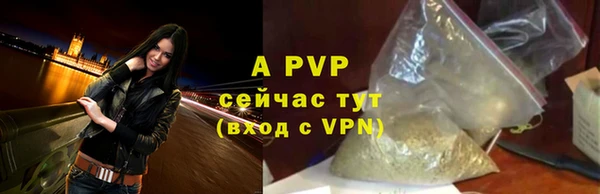 молекула духа Вязьма