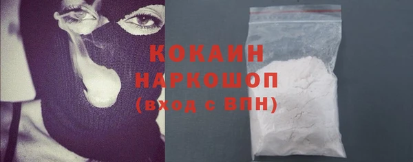 гидра Вяземский