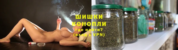 гидра Вяземский