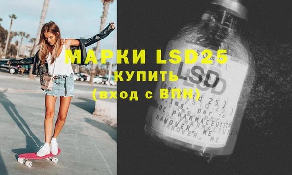 гидра Вяземский