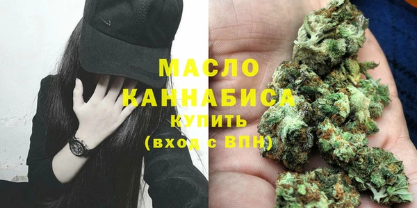 гидра Вяземский