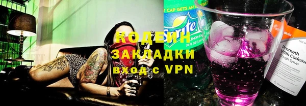 гидра Вяземский