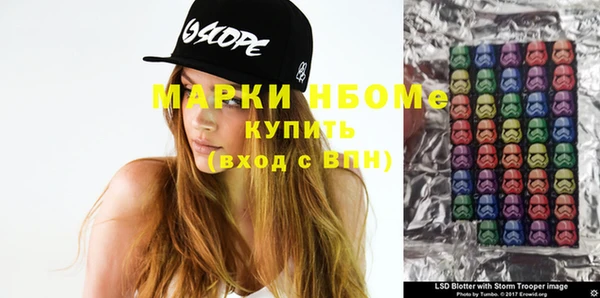 гидра Вяземский
