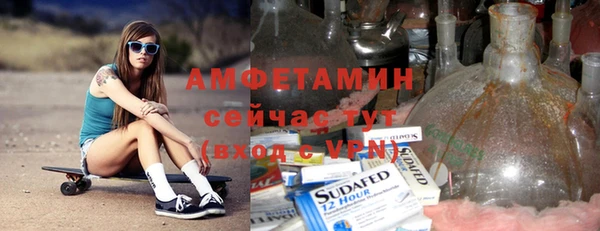 гидра Вяземский