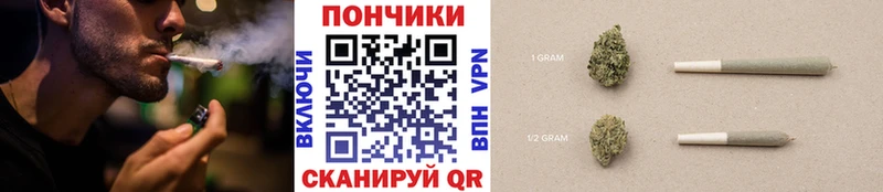 Конопля гибрид  Петропавловск-Камчатский 